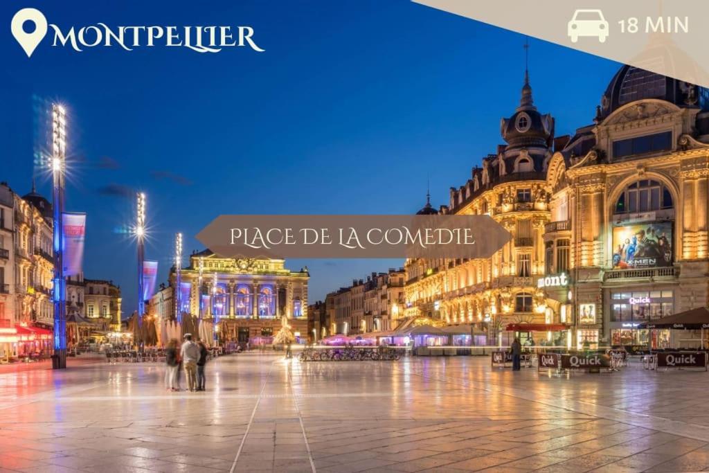 016- T2 Tropisme, Appart 1 Chambre,Clim,Wifi,Parking Montpellier Exterior photo
